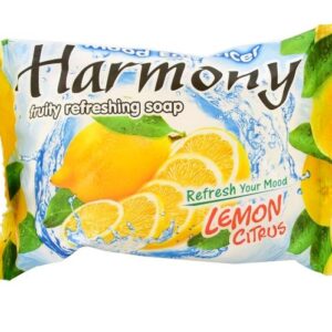 NA Harmony Fruit Bar Soap / Harmony Fruity Refreshing Soap Fruit Aroma Bath Soap