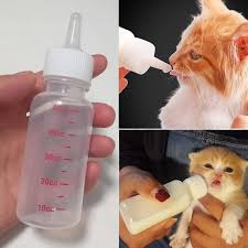 1 Set Kitten Pacifier Bottle Newborn Cat Pacifier Dog Pacifier