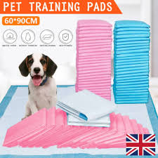 Cat underpad, cat pee pad, dog pee pad, disposable diaper, pee pad, cat pee pad