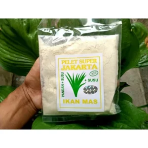 JAKARTA KROTO SPECIAL PELLET FLOUR BAIT FOR CARP, READY TO USE
