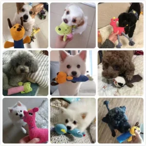 Dog Toys Cat Dog Bites Toys Chew Toys Pet Shape Animal Shapes