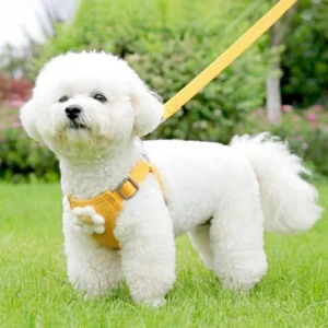 Cat Harness Rope Small Big Cat Harness Animal Guide Rope Dog Vest Cat Dog Harness