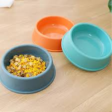 Cat Bowl Cat Food Bowl Cat Dog Anti Slip Cat Dog Bowl