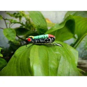 Soft Frog Melas Lure Model Rasta Size 5cm Weight 7g Bait
