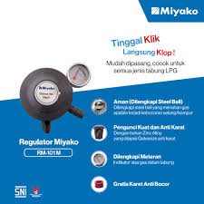 MIYAKO REGULATOR RM-100