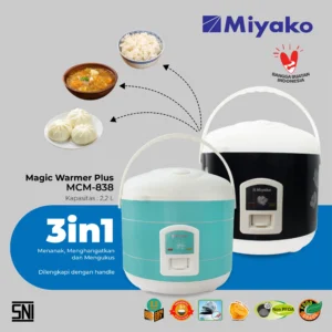 Miyako MCM-838 GG